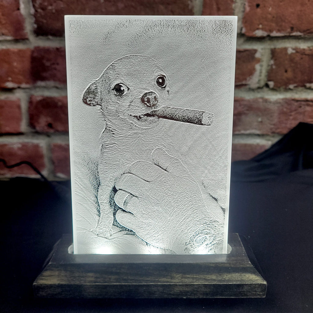 Your Pet’s Memory, Beautifully Preserved
