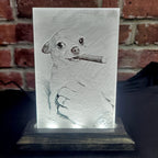 Your Pet’s Memory, Beautifully Preserved