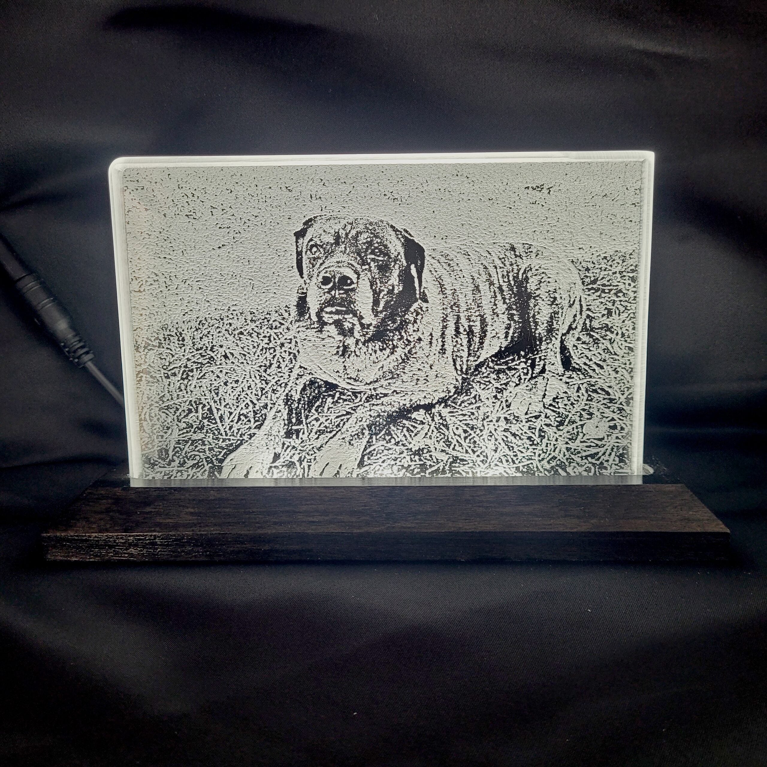 Your Pet’s Memory, Beautifully Preserved
