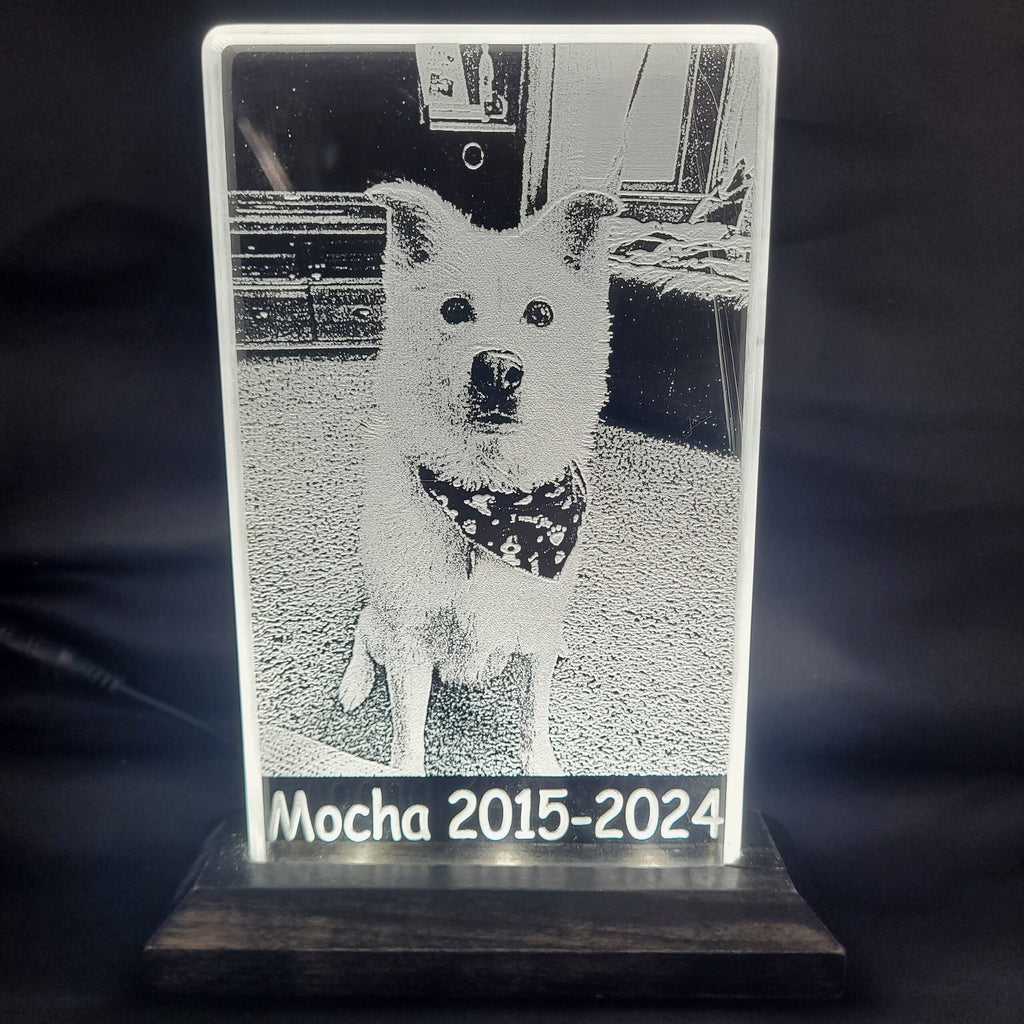 Your Pet’s Memory, Beautifully Preserved