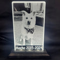 Your Pet’s Memory, Beautifully Preserved
