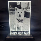 Your Pet’s Memory, Beautifully Preserved