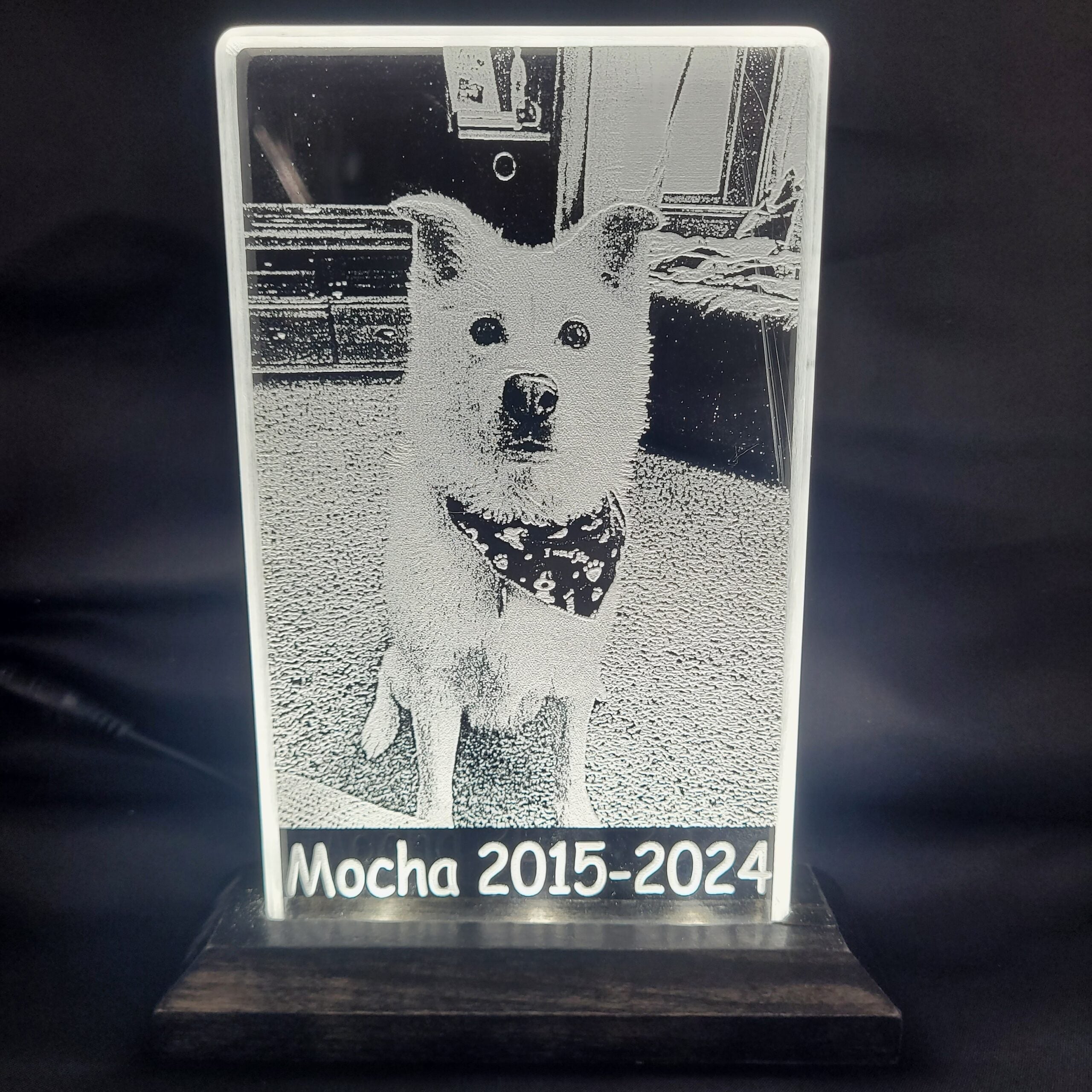 Your Pet’s Memory, Beautifully Preserved