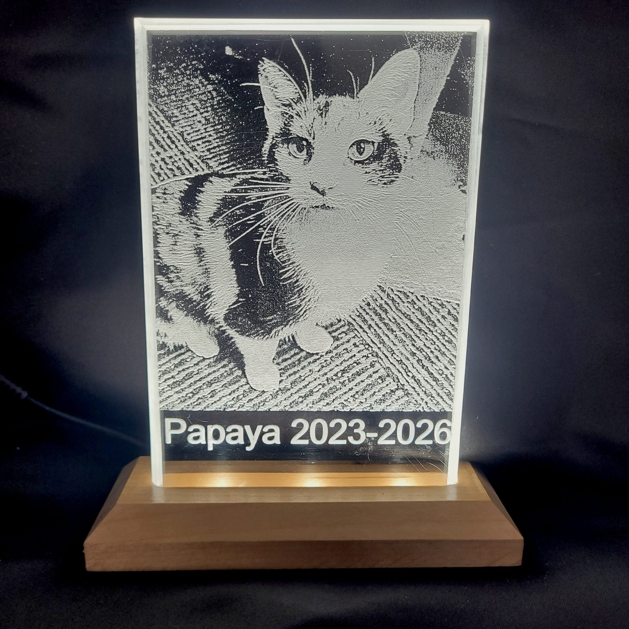 Your Pet’s Memory, Beautifully Preserved